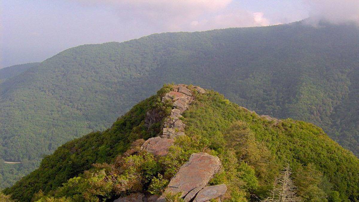 Chimney Tops Surrounded by Forest in the Great Smoky Mountains - Pigeon Forge, Tennessee, USA